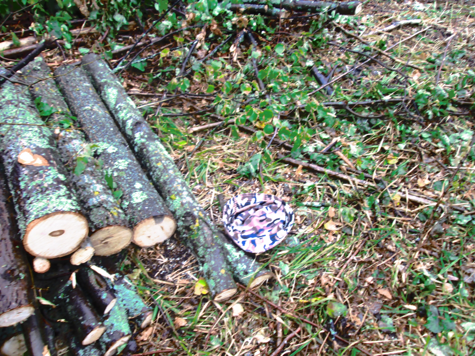 Три лесоруба с кавказа нашли радиоактивную батарею фото